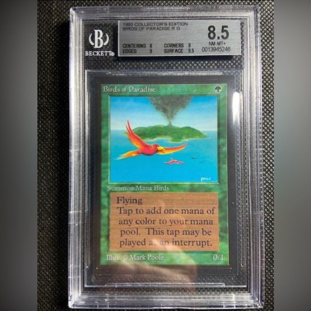 1993 MTG CE Collector's Edition BOP Birds of Paradise BGS 8.5 NM-MINT+